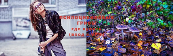 MDMA Магадан