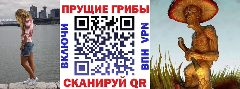 Галлюциногенные грибы ЛСД  Купить где  Костерёво 
